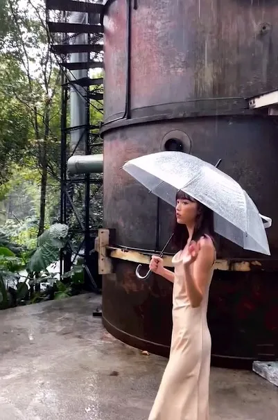 這間民宿藏身南投山林，房型獨特超難訂。