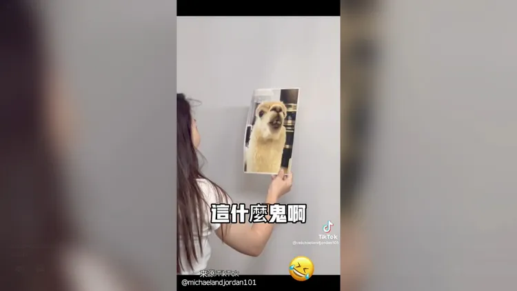 亂按亂玩竟將自己的臉印出來了。