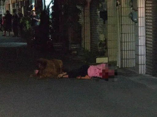 台南2藏獒飛撲狂咬婦人畫面曝光 動保人員到場也遭殃!飼主下場出爐