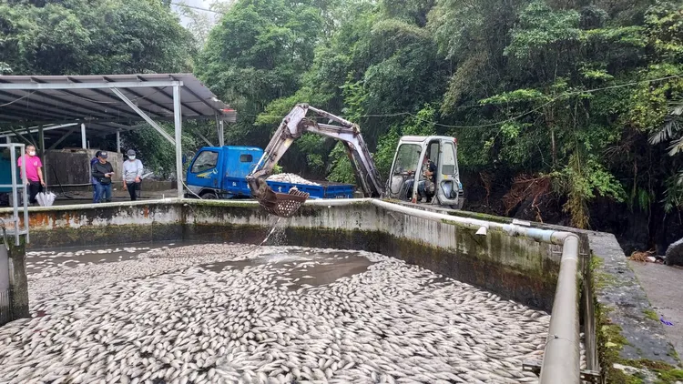 縣府加派機具及人力進場協助處理魚屍。縣府提供