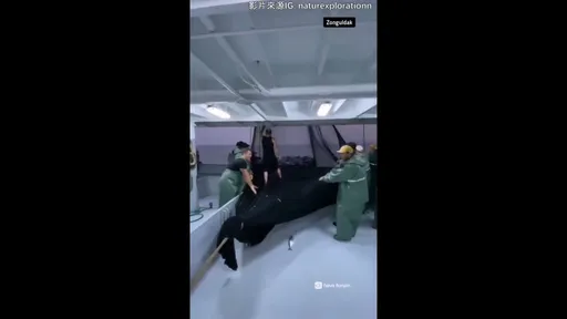 這根本就是魚瀑布吧！　這麼壯觀的場面還是人生長眼以來第一次看到！	