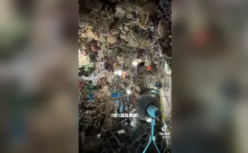 澎湖這間廟藏有地下珊瑚王國　網「去過超難忘」