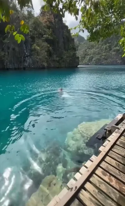 碧藍色的海清澈見底超美麗。