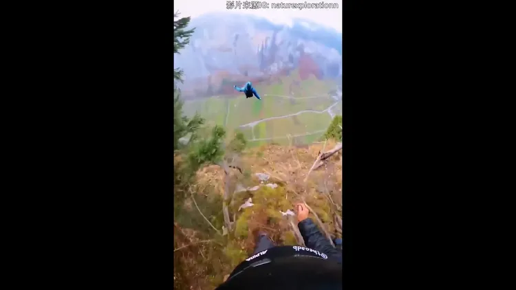 怎麼走著、走著突然就往下跳！