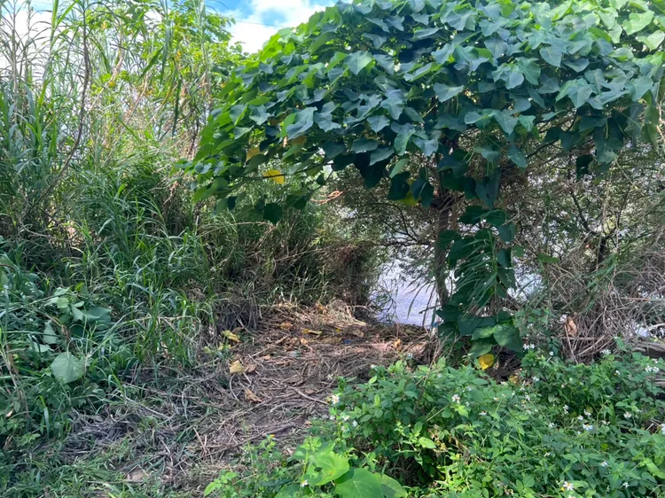 高灘地保全巡邏時發現有名男子漂浮在河面。警方提供