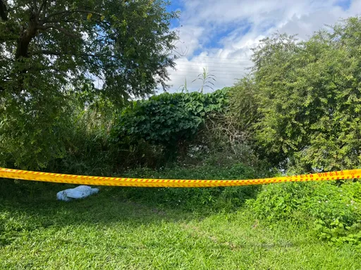 新店溪岸巡保全惊见男子飘河面 警过滤失踪人口厘清身分