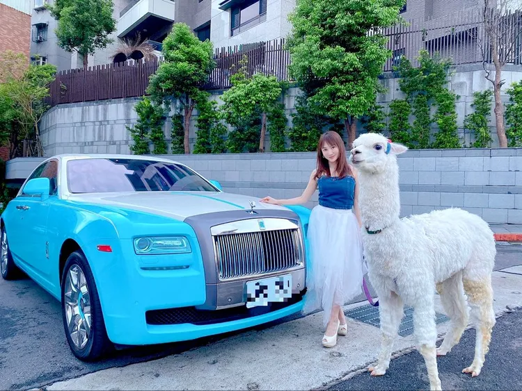 王宥忻用名車載草泥馬出門。固力狗娛樂提供