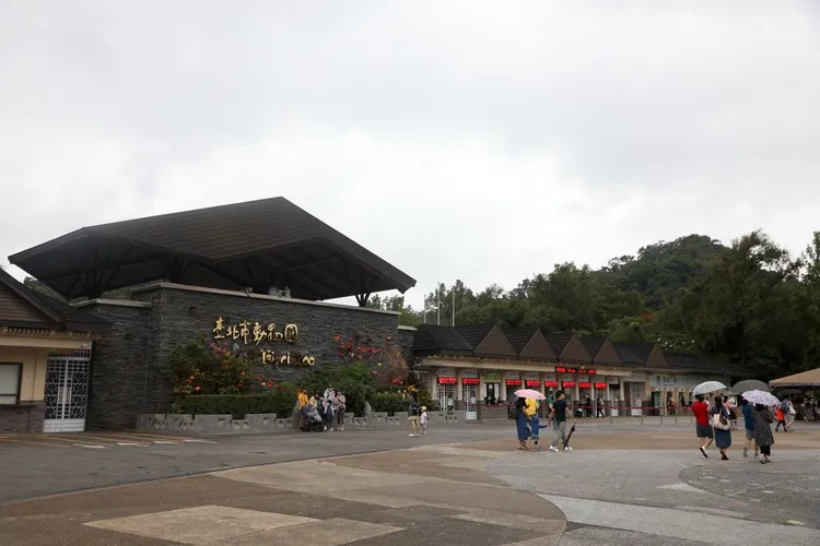 團團在9月18日上午從動物園送到台大動物醫院。陳明中攝