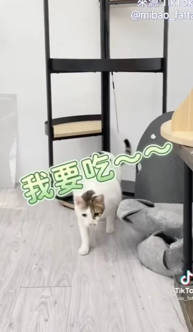終於到達地層表面。TikTok@mibao_faftat 提供