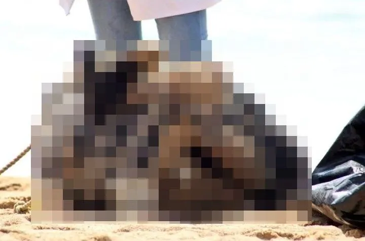 死者被反綁在水泥錨上，死狀悽慘。翻攝自推特