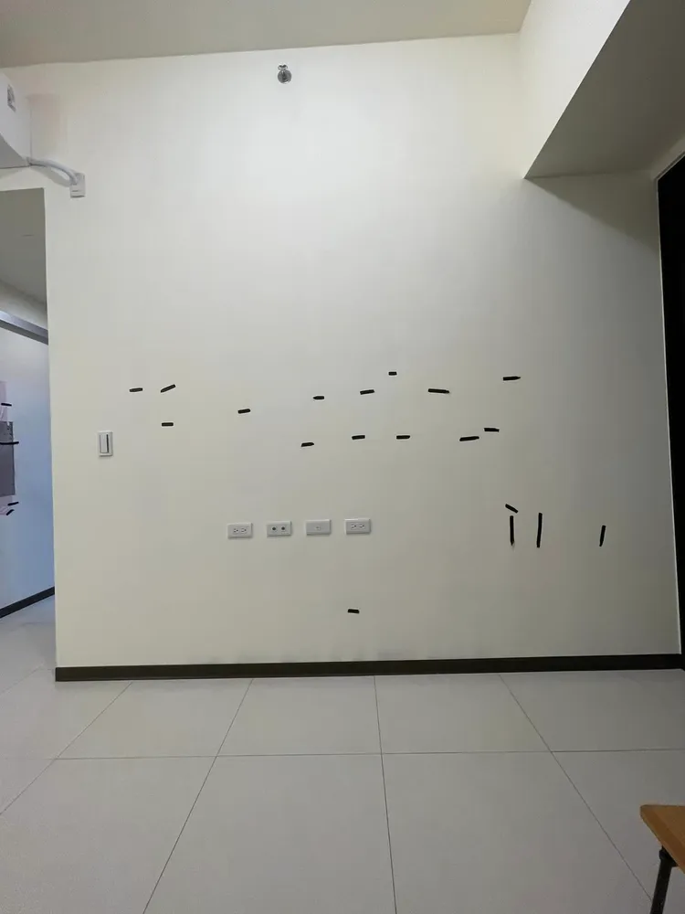 牆面上工人留下許多字痕，包括「王八蛋、牛、豬、鴨、狗、加油、好OK」等等。翻攝爆料公社