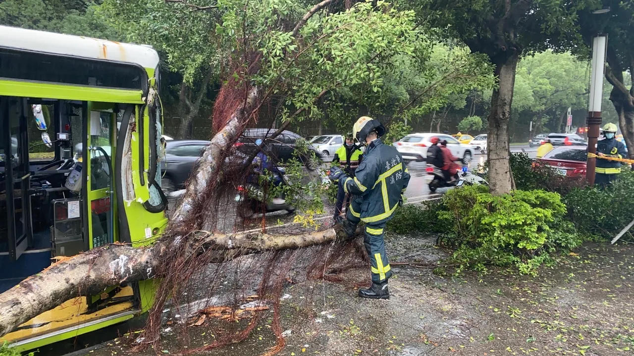 警消清除占據車道的路樹。翻攝畫面