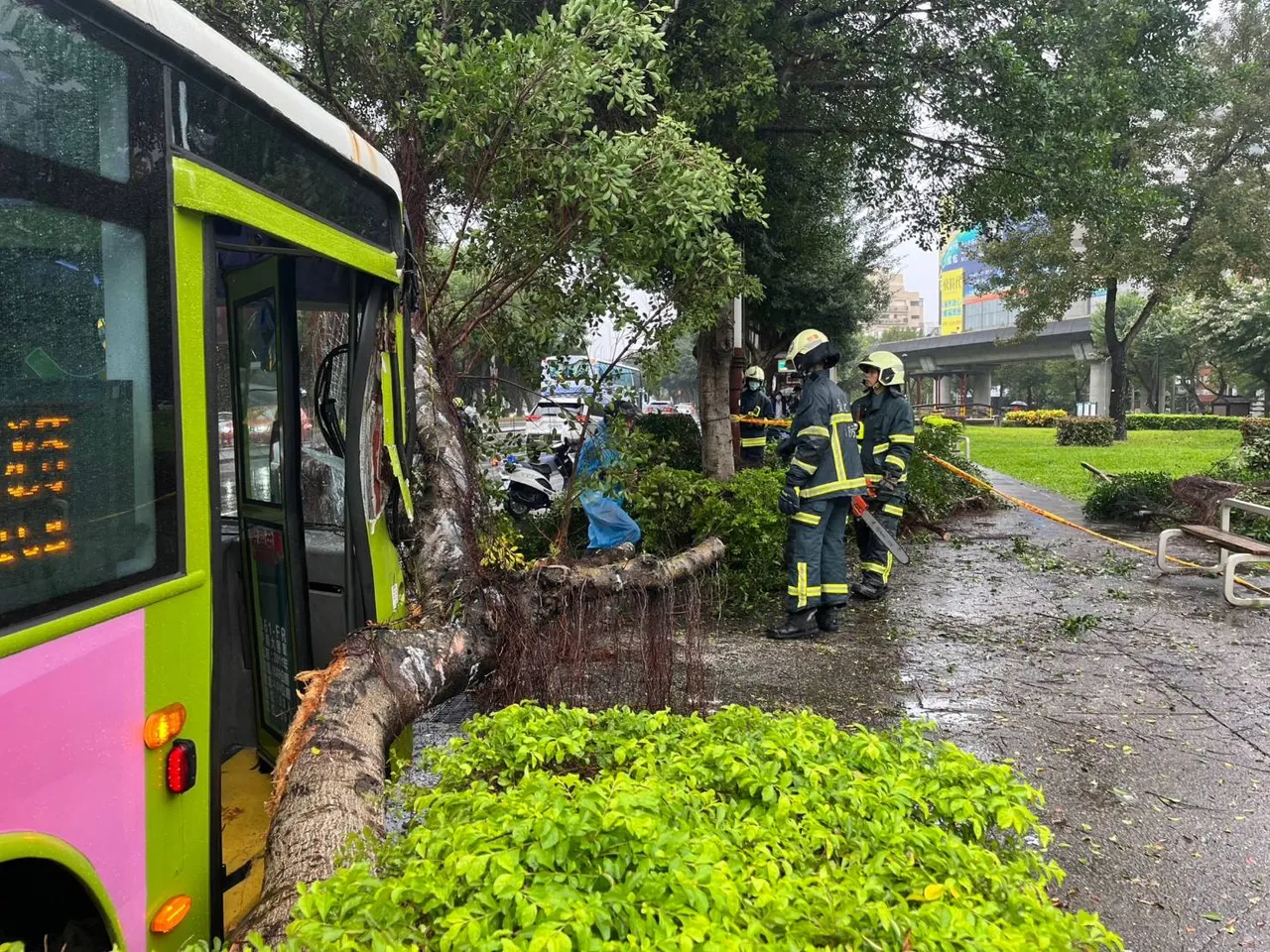 郭姓公車駕駛疑因天雨視線不佳,不慎撞倒路樹。翻攝畫面