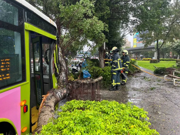 郭姓公車駕駛疑因天雨視線不佳，不慎撞倒路樹。翻攝畫面