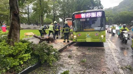 疑下雨天視線不佳 公車撞倒路樹佔2車道幸無人傷