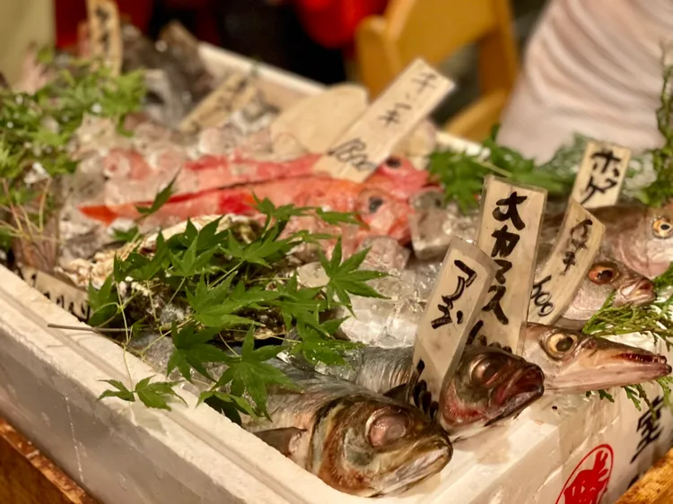 日本特色居酒屋「居魚屋」，店員會推著當日魚貨手推車，上面放著各式海鮮和價錢，讓客人自己挑。曾仲葳攝