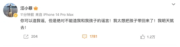 汪小菲放話明天就要來台灣。翻攝汪小菲微博