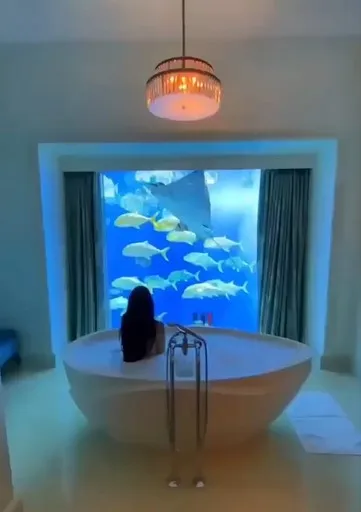 邊泡澡還能欣賞海底生物美景。