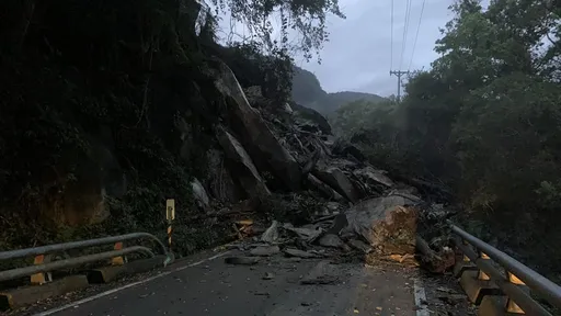 台東南橫向陽段關山工務段搶通 鹿野警徒手移除路面斷樹殘枝