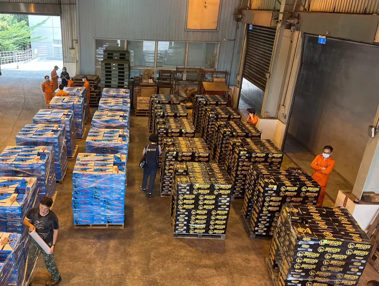 高市府會同海關破獲走私啤酒逾93萬罐，數量之高，創高雄歷年新高紀錄。高市府提供