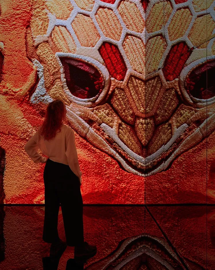 寶格麗Serpenti by Refik Anadol展覽即日起至12月23日於倫敦倫敦薩奇美術館登場。翻攝bulgari IG