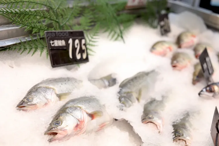 研究發現脂肪含量低的鱸魚，屬於非常瘦的魚之一。陳明中攝