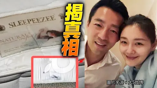 大S再出手!轉發女神與海絲騰對話 「千萬床墊沒賣給汪小菲」