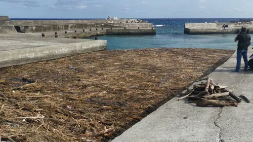 大批漂流木湧進綠島中寮港 鄉長:今起打撈供民眾挑用