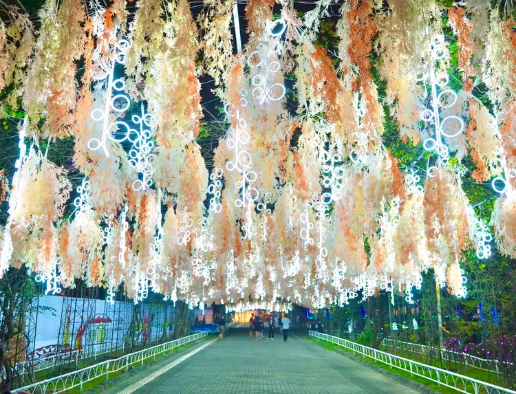 屏東公園步道上空的燈飾。屏東縣政府提供