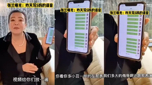 張蘭公開怒罵S媽語音批「小S利用大S」　酸具俊曄「老頭子，別演戲了」