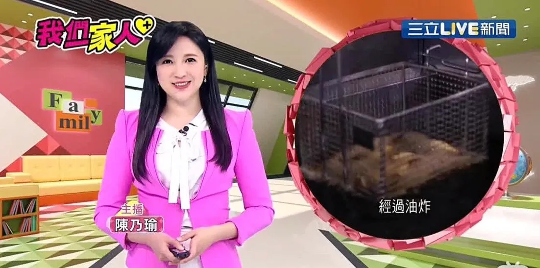 陳乃瑜有14年的政治新聞採訪經驗,英文能力極強,有經歷也有專業。競辦提供