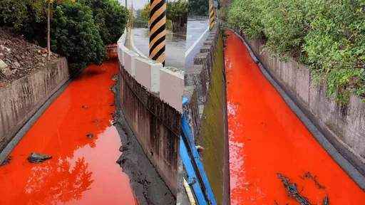 「血流成河」影片曝光！彰化員林水溝染紅　逮到闖禍燈旗工藝社