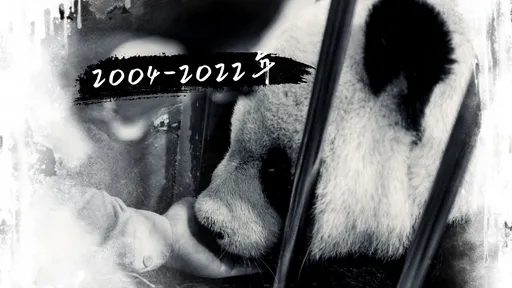 再見團團懷念影片|癲癇難控!今午1點48分心跳停止不痛了 享壽18歲