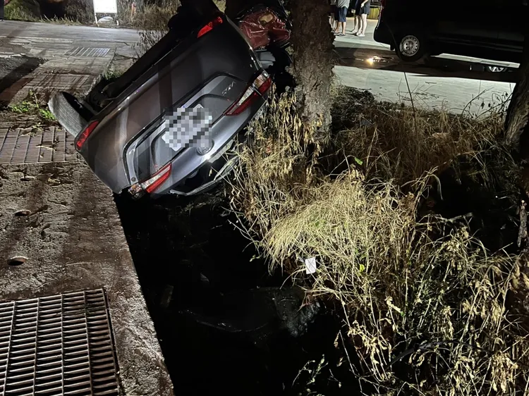 翻覆路旁草叢的自小客車。警消提供