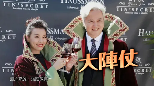 张庭林瑞阳派30位律师对决听证会 442亿罚金保卫战开打