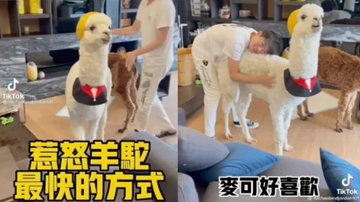 阿公很壞!狂摸屁股又躲起來 麥可氣到直接「噴口水」