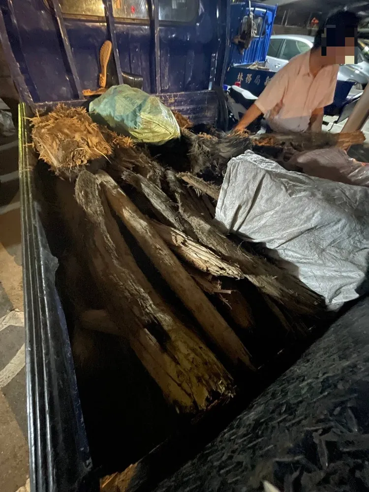 警方在江男小貨車上查獲國有珍貴林木。大溪警分局提供