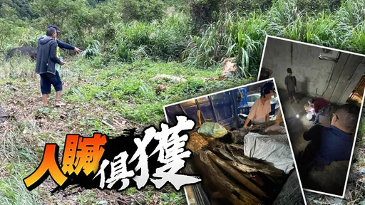 捡拾珍贵漂流木摸黑运下山 大溪警设拦截点查获山老鼠