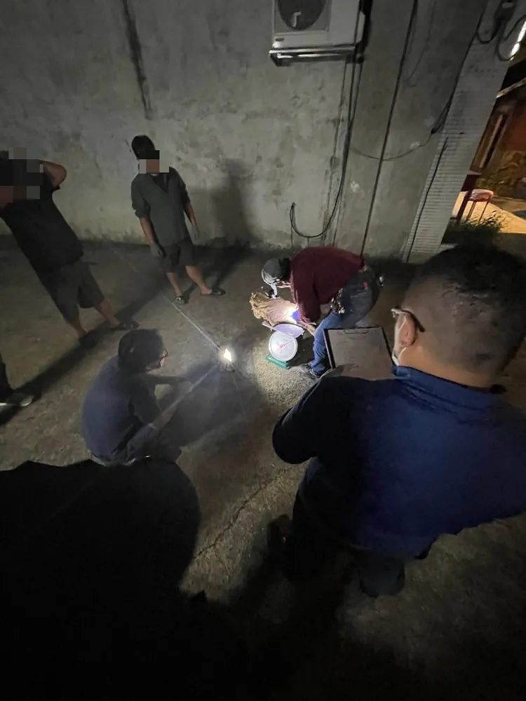 林務局派員鑑驗。大溪警分局提供