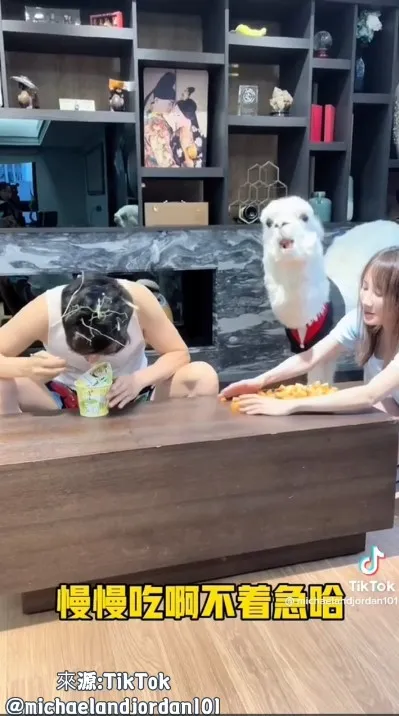 麥可驕傲表示：『我有一雙充滿無辜且迷人的大眼睛，阿公你有嗎？』。TikTok@michaelandjordan101 提供