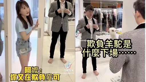 欺負「羊駝界王子」芭比Q了!他慘吞泡麵 萌獸「超欠揍臉」笑翻網