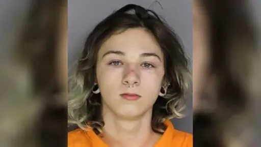 16歲少年殺人後IG私訊傳血腿照 問友「如何棄屍」