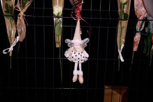 法國怎麼了?再傳14歲少女遭性侵殺害 放學被押上車慘成棄屍