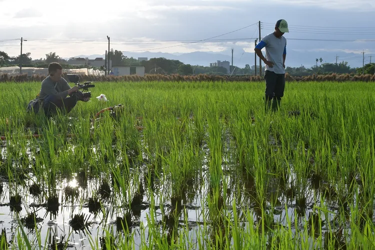 高雄市電影館12月藝術院線將推出《神人之家》。高雄電影館提供