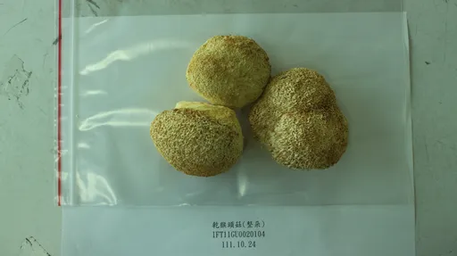 中國猴頭菇農藥檢測多次不合格　明起暫停進口1個月