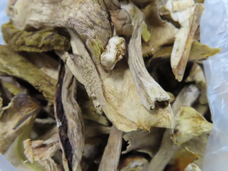 從雲南進口的乾燥牛肝菌也有農藥超標問題。食藥署提供