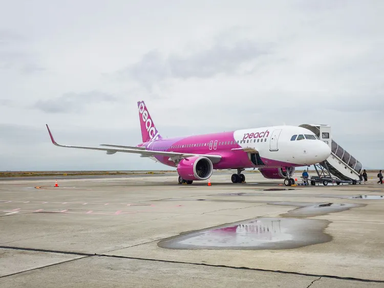 樂桃航空擁有三十多條綿密的日本國內航線。田欣雲攝