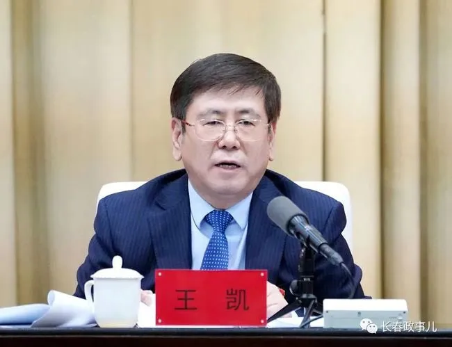 河南省長王凱。翻攝推特@MJTVHoPin