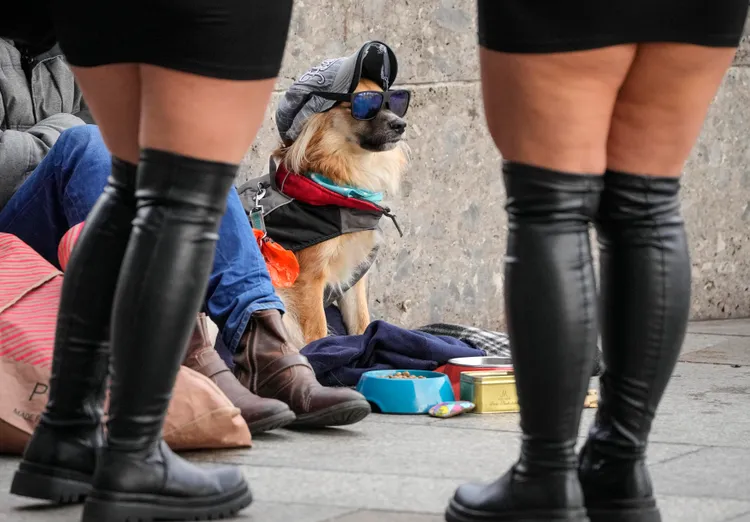 連遊民的小狗也做了特殊裝扮。美聯社