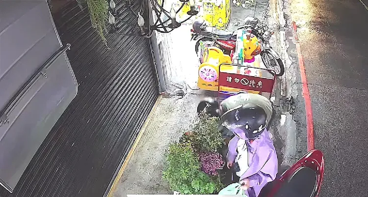 蔡男選中居酒屋門口花卉，脫去外套蹲下偷取。警方提供
